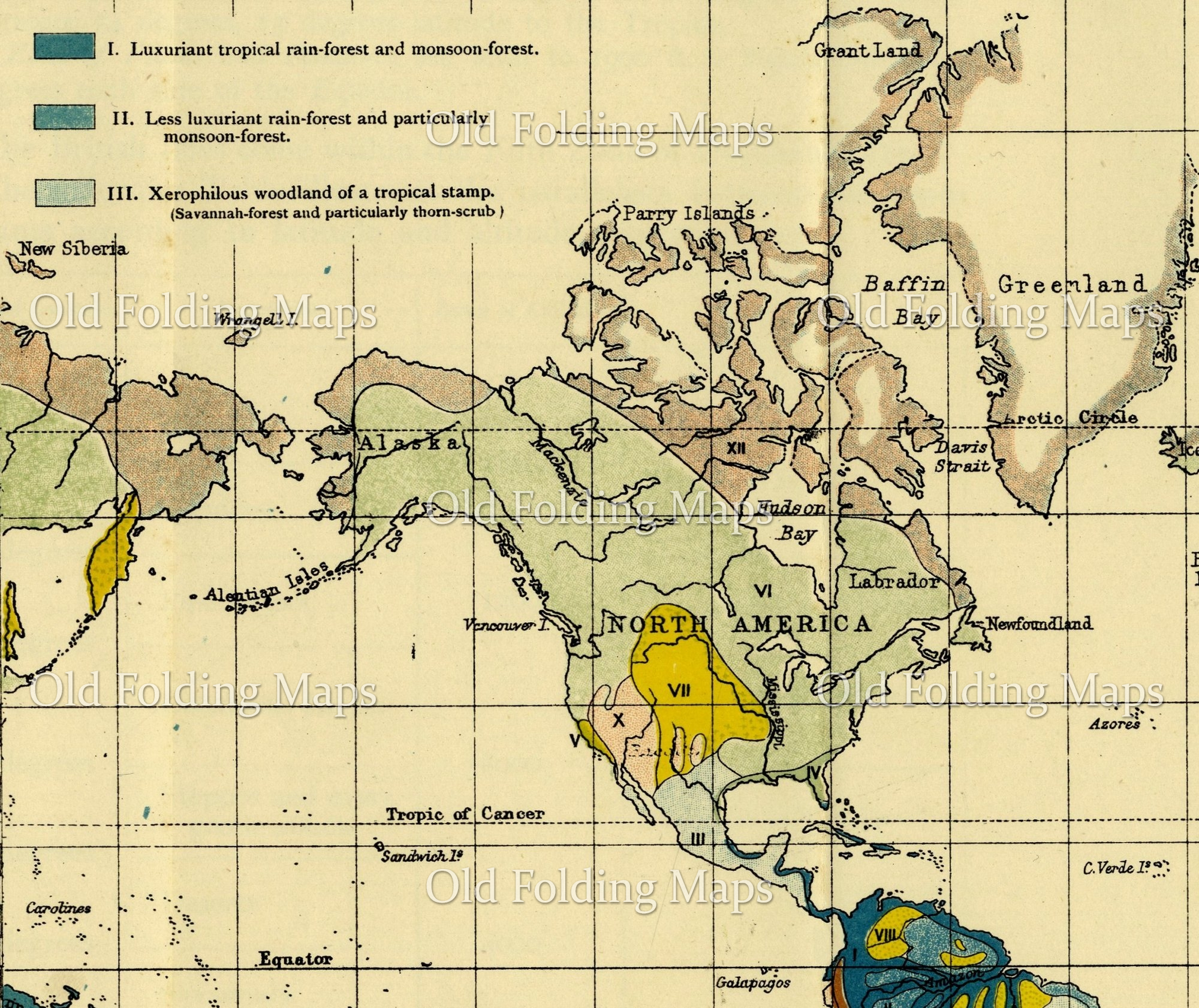A Map of the Principal Types of Vegetation in the World circa 1925